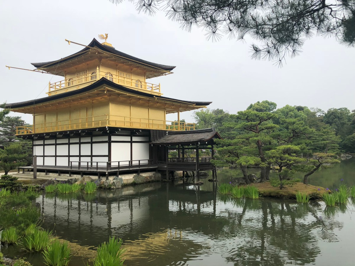 8B97EFA1-8B99-4EA5-9861-C1B9B7AD5FA5