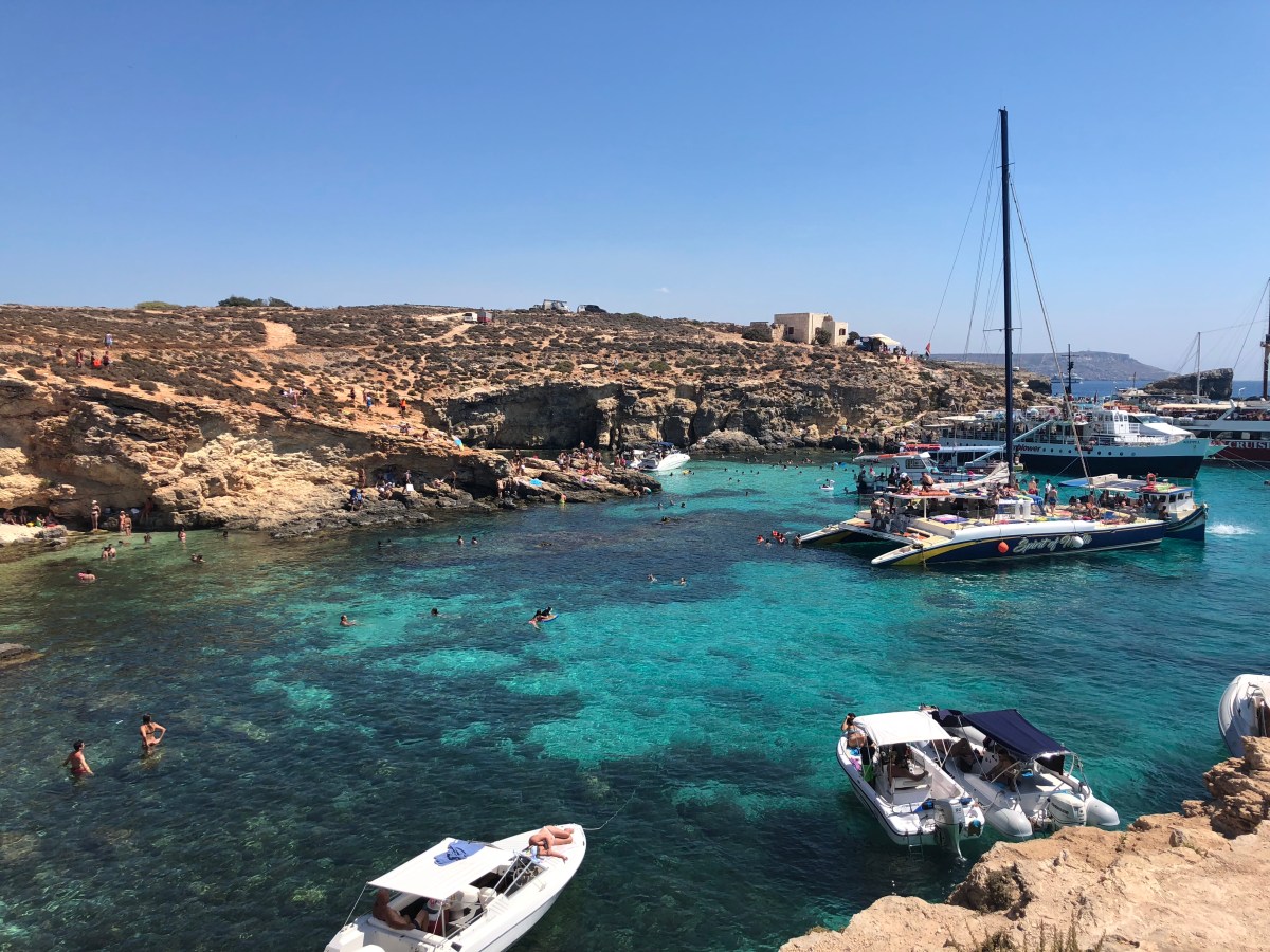 720157F1-0EA7-4A61-BBF1-926493F78B0D