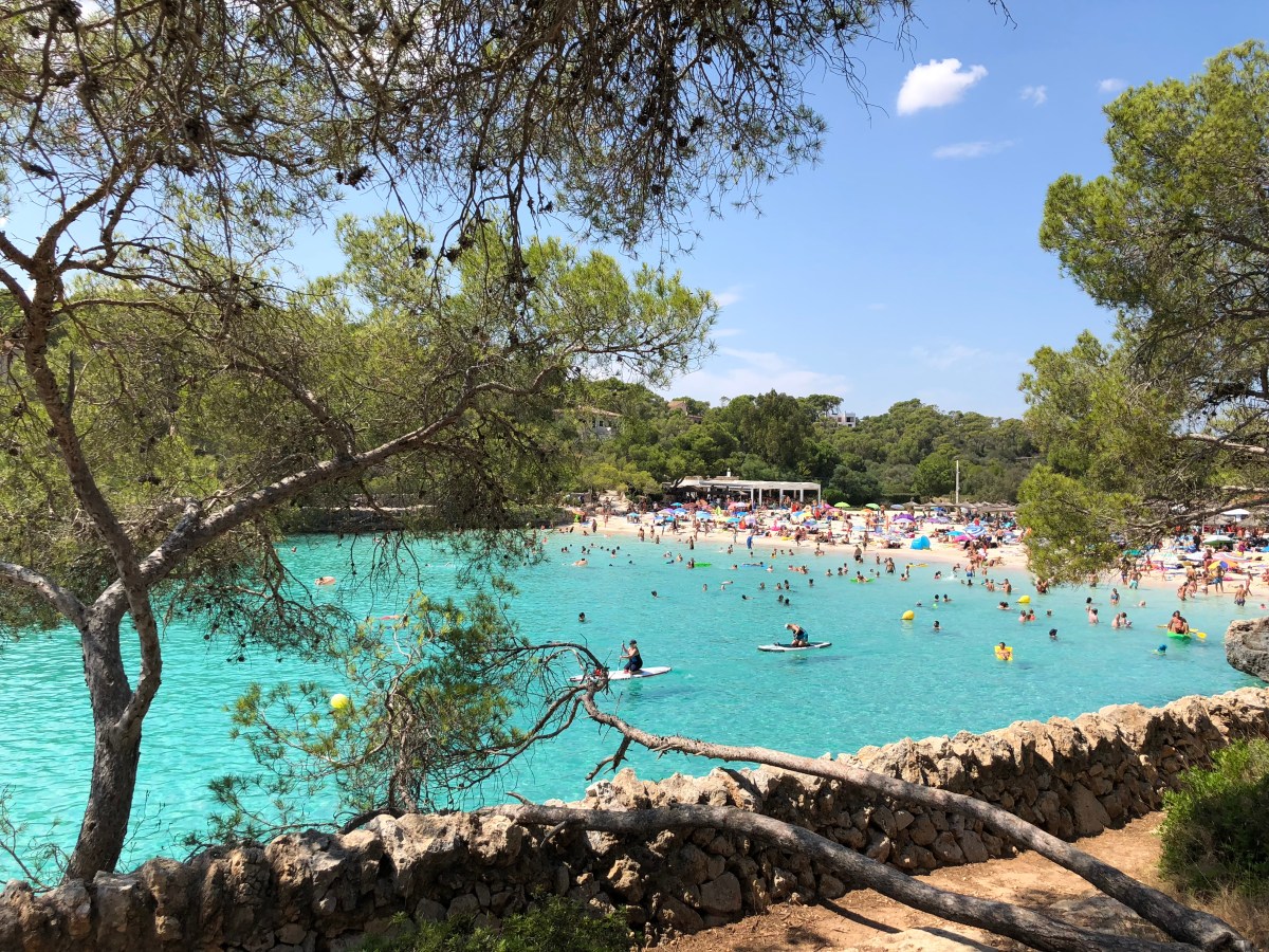 6BB362C0-AAD6-42EC-9F87-5667242CD52F