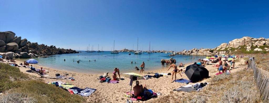 205F397C-C0C7-4456-B165-4865B4061D0B